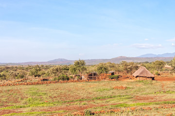 Fototapeta na wymiar Wattle and daub houses under thatched roof against mountain background. Tanzania, Africa. 