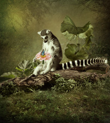 An inquisitive lemur sitting on a tree in a forest and looking at a butterfly on a flower © nizhava1956