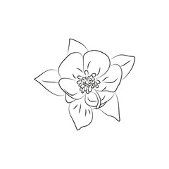 beautiful fuchsia flower simple black lined icon on white background