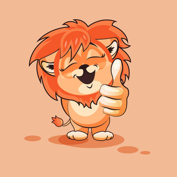 Lion cub thumb up
