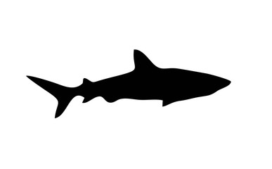 shark silhouette