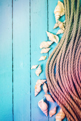 Concept of the summer time with sea shells on the wooden blue background