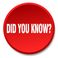 did you know red round flat isolated push button