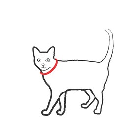 Sketch of domestic cat. 