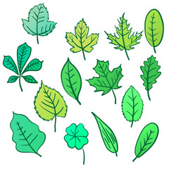 Set of leafs isolated for design on a white background.