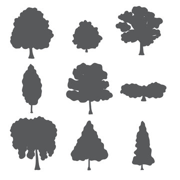 Vector natural set of forest trees.