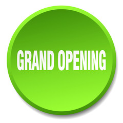 grand opening green round flat isolated push button