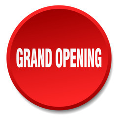 grand opening red round flat isolated push button