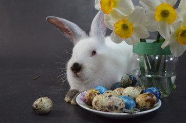 Пасхальный кролик и пасхальные яйца