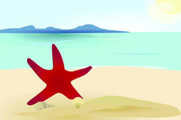 Fototapeta na wymiar sea star on island