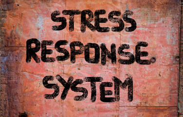 Stress Response System Concept
