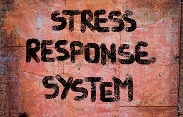 Stress Response System Concept © Krasimira Nevenova