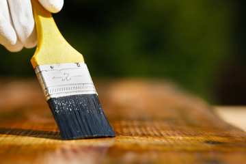 Paintbrush sliding over wooden surface, protecting wood