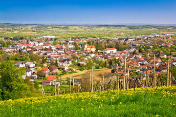 Town of Ivanec aerial springtime view