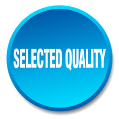 selected quality blue round flat isolated push button