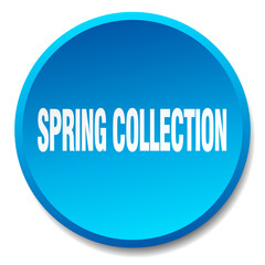 spring collection blue round flat isolated push button