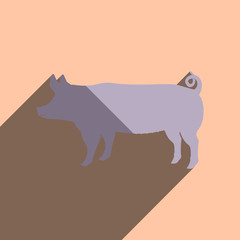 Flat icons with shadow of pig