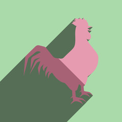 Flat icons with shadow of cock