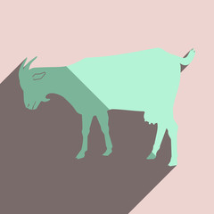Flat icons with shadow of goat