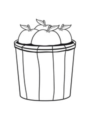 apfelernte bucket pick collect food bauerngarten many apples