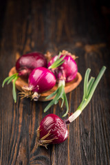 Red onions on rustic wood