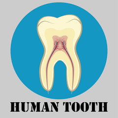 Human tooth emblem