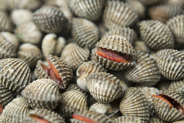 Fresh cockles for sale at market