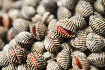 Fresh cockles for sale at market