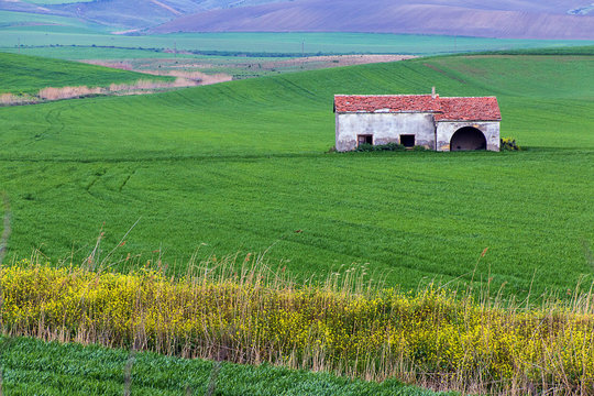 Lucania