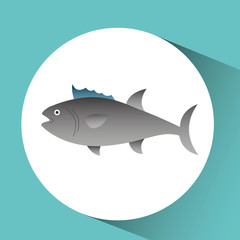 Fototapeta premium fish icon design 