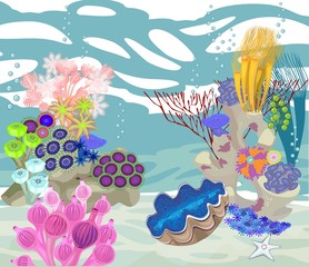 underwater landscape with different corals and tridacna