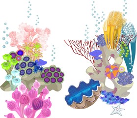 underwater landscape with different corals and tridacna