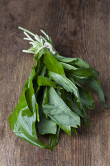 Bund vom frischer B&auml;rlauch