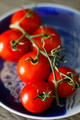 Fresh Tomatoes on the Vine 