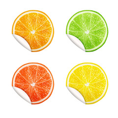 Obraz premium Set of citrus fruits. Orange, Lime, Grapefruit, Lemon.