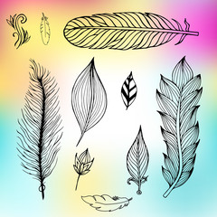 Set of hand drawn feathers. Vector illustration.