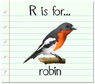 Flashcard letter R is for robin