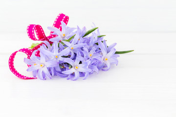 Bouquet of spring flowers decorated with ribbon on white wooden background. Copy space. Chionodoxa flowers.