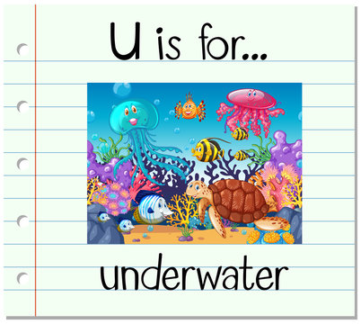 Flashcard letter U is for underwater
