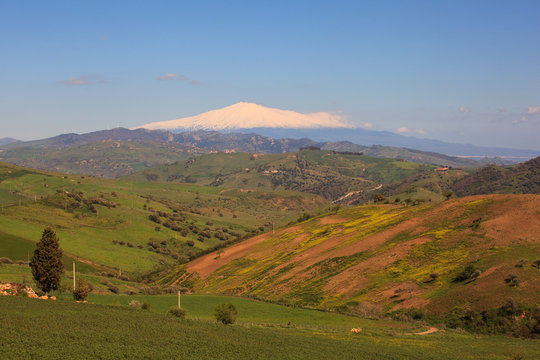 Etna volcano and Sicily field