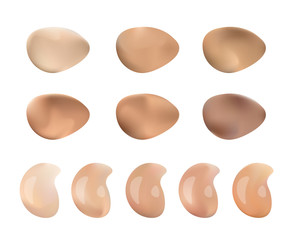 Vector Illustration of Color Shades Palette For Foundation Make Up. Isolated On White Background.