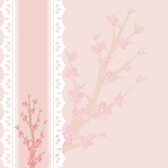 Cherry blossom branch on pink background