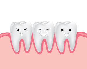 dental cartoon vector, teeth with gum
