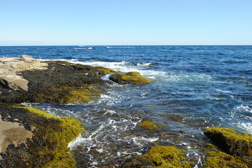 rocks and reef at sea coast during low tide