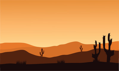 desert cactus silhouette and sunrise