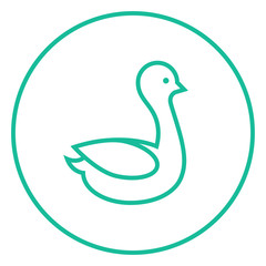 Duck line icon.