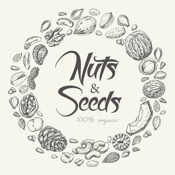 Vector round frame of nuts and seeds