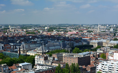 Fototapeta na wymiar Vue aérienne de Lille