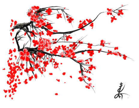 Realistic sakura blossom - Japanese cherry tree isolated on white background. Vector eps10
