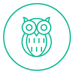 Owl line icon.